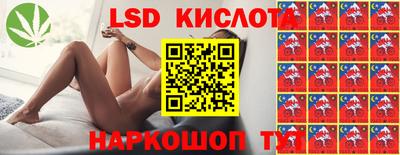 молекула духа Будённовск