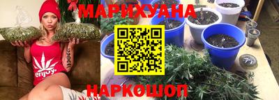 молекула духа Будённовск