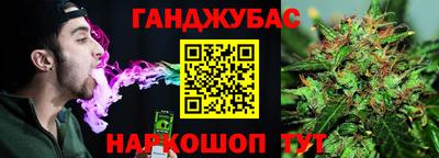 молекула духа Будённовск