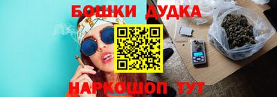 молекула духа Будённовск