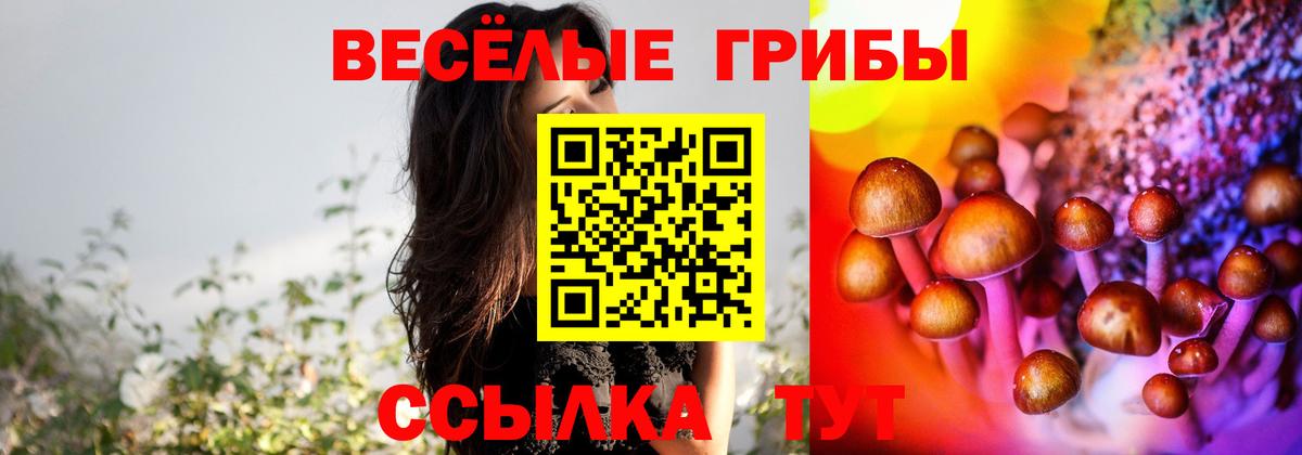 цены наркотик  Псилоцибиновые грибы Cubensis  Истра  Вход с VPN  Псилоцибиновые грибы GOLDEN TEACHER 